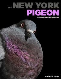 Produktbild: Garn, a: New York Pigeon