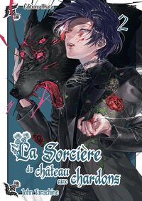 Produktbild: La sorci&egrave;re du ch&acirc;teau aux chardons. Tome 2