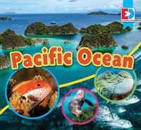 Produktbild: Pacific Ocean