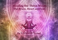 Produktbild: Healing the Three Minds - The Brain, Heart and Gut