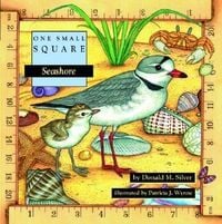 Produktbild: Seashore