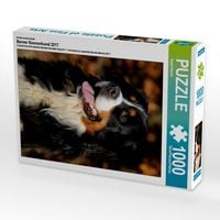 Produktbild: CALVENDO Puzzle Ein Motiv aus dem Kalender Berner Sennenhund 2017 | 1000 Teile Lege-Gr&ouml;&szlig;e 64x48cm Foto-Puzzle f&uuml;r gl&uuml;ckliche Stunden