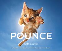 Produktbild: Pounce