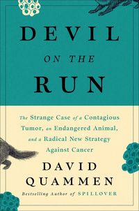 Produktbild: Devil on the Run