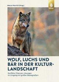 Bild vom Artikel Wolf, Luchs und Bär in der Kulturlandschaft vom Autor Marco Heurich