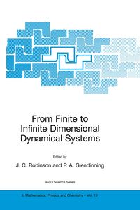 Produktbild: From Finite to Infinite Dimensional Dynamical Systems