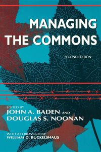Produktbild: Managing the Commons, Second Edition