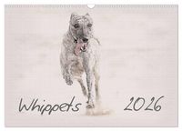 Produktbild: Whippet 2026 (Wandkalender 2026 DIN A3 quer), CALVENDO Monatskalender