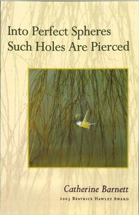 Produktbild: Into Perfect Spheres Such Holes Are Pierced