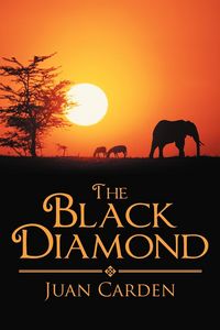 Produktbild: The Black Diamond