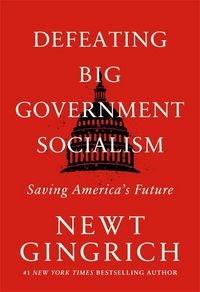 Produktbild: Gingrich, N: Defeating Big Government Socialism