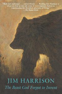 Produktbild: The Beast God Forgot to Invent