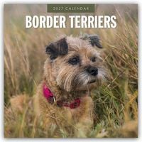 Produktbild: Border Terriers &ndash; Border Terrier 2027 &ndash; 16-Monatskalender