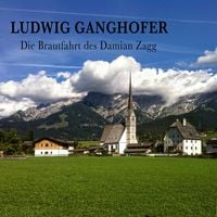 Produktbild: Die Brautfahrt des Damian Zagg