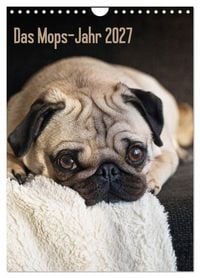 Produktbild: Das Mops-Jahr 2027 (Wandkalender 2027 DIN A4 hoch), CALVENDO Monatskalender