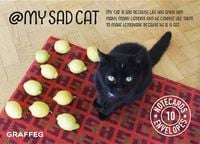 Produktbild: My Sad Cat Notecards