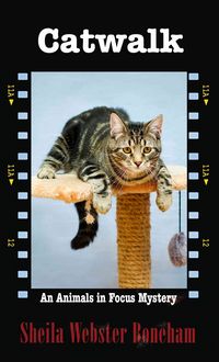 Produktbild: Catwalk -Lp