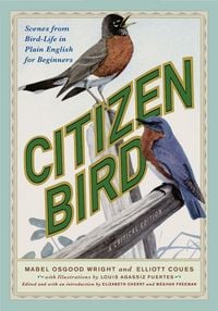 Produktbild: Citizen Bird