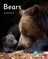 Produktbild: Bears
