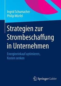 Produktbild: Strategien zur Strombeschaffung in Unternehmen