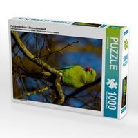 Produktbild: CALVENDO Puzzle Halsbandsittich / Alexandersittich | 1000 Teile Lege-Gr&ouml;&szlig;e 64x48cm Foto-Puzzle f&uuml;r gl&uuml;ckliche Stunden