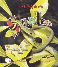 Produktbild: Snake