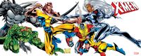 Produktbild: X-Men: Road to Onslaught Omnibus Vol. 1 Joe Madureira Cover