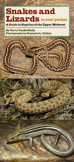 Bild vom Artikel Snakes and Lizards in Your Pocket: A Guide to Reptiles of the Upper Midwest vom Autor Terry Vandewalle