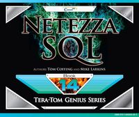 Produktbild: Netezza SQL