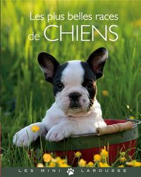 Produktbild: Les plus belles races de chiens