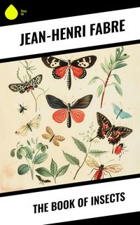 Produktbild: The Book of Insects