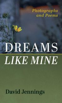 Produktbild: Dreams Like Mine