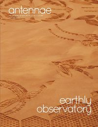 Produktbild: Antennae #62 Earthly Observatory