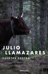 Produktbild: Cuentos cortos