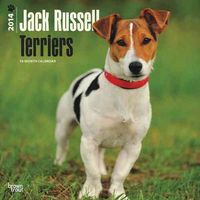 Produktbild: Jack Russell Terriers Calendar