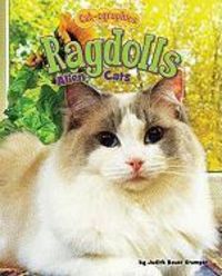 Produktbild: Ragdolls