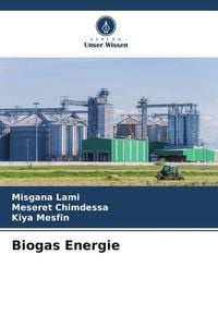 Produktbild: Biogas Energie