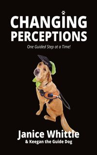 Produktbild: CHANGING PERCEPTIONS One Guided Step at a Time!