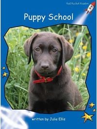 Produktbild: Puppy School