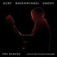 Produktbild: The Remedy (Live at the Village Vanguard)