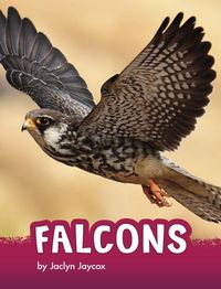 Produktbild: Falcons