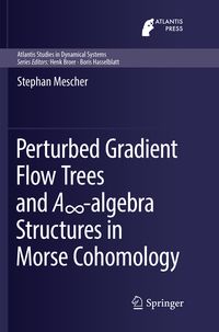 Produktbild: Perturbed Gradient Flow Trees and A&infin;-algebra Structures in Morse Cohomology