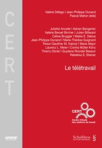 Produktbild: Le télétravail