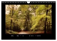 Produktbild: Der Reichswald bei Kleve (Wandkalender 2026 DIN A4 quer), CALVENDO Monatskalender