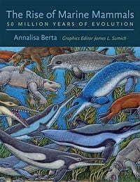 Produktbild: Rise of Marine Mammals