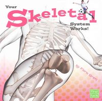 Produktbild: Your Skeletal System Works