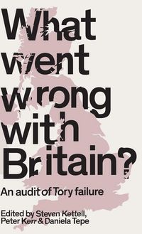 Produktbild: What Went Wrong with Britain?