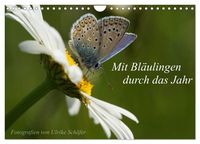 Produktbild: Mit Bl&auml;ulingen durch das Jahr (Wandkalender 2027 DIN A4 quer), CALVENDO Monatskalender