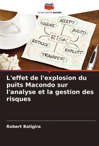 Produktbild: L'effet de l'explosion du puits Macondo sur l'analyse et la gestion des risques