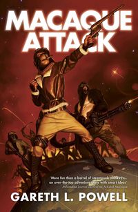 Produktbild: Macaque Attack